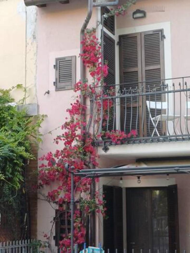 Bouganville House Senigallia Extérieur photo